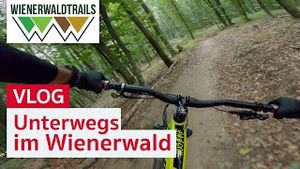 Damit hätte ich nicht gerechnet: meine erste Mountainbiketour in Wien | Trailcenter Weidlingbach