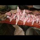 Peshawar butchers 13