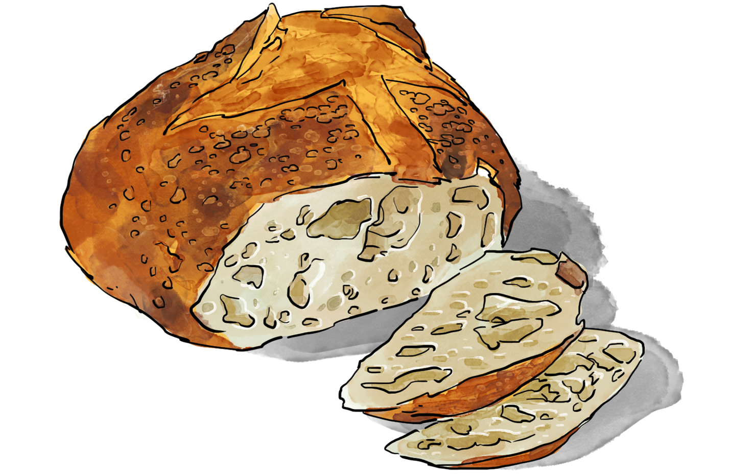 Illustration of Overnight Bread