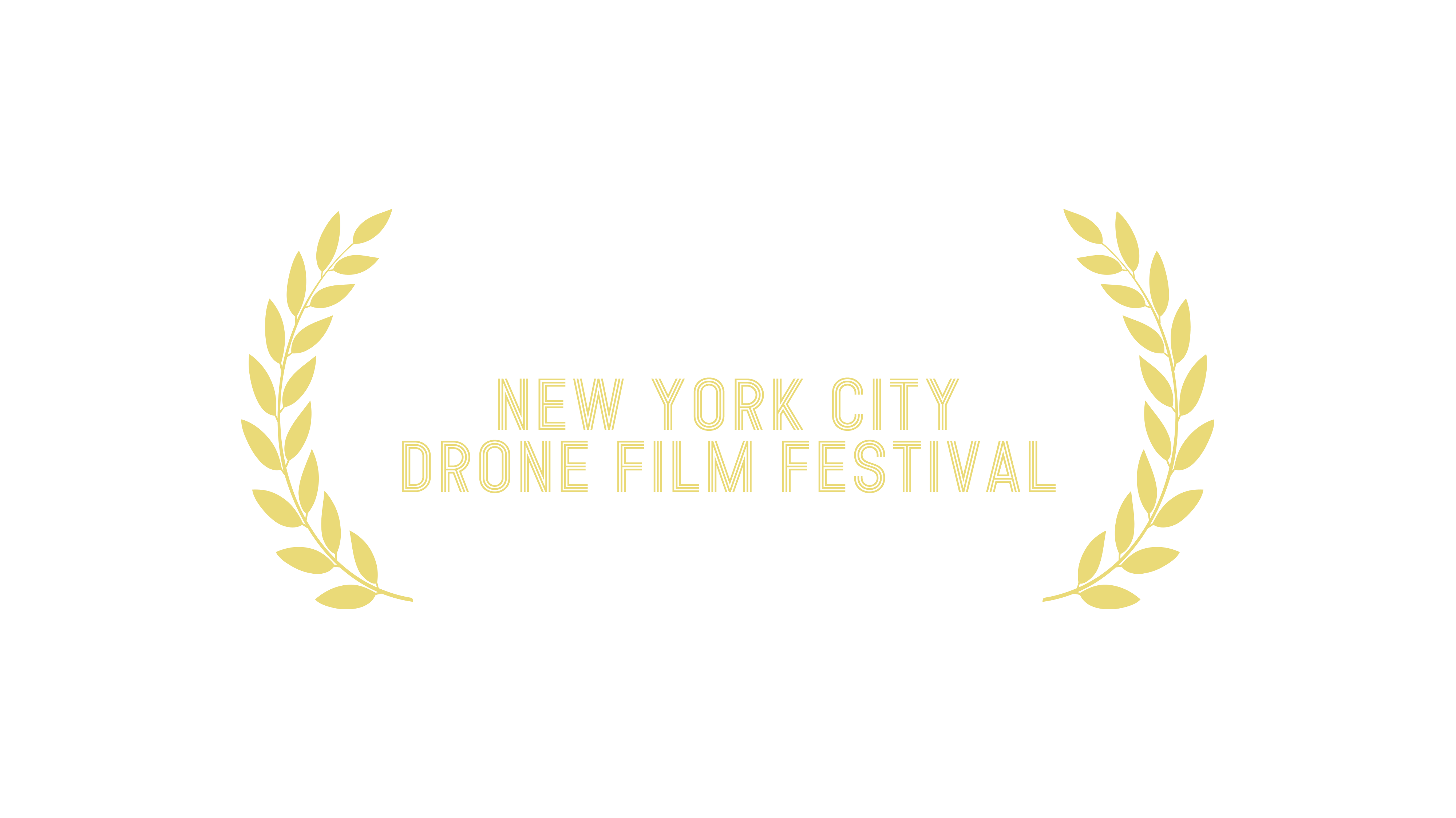 Award for NYC Drone Film Festival - News and Docs Category  - 2019