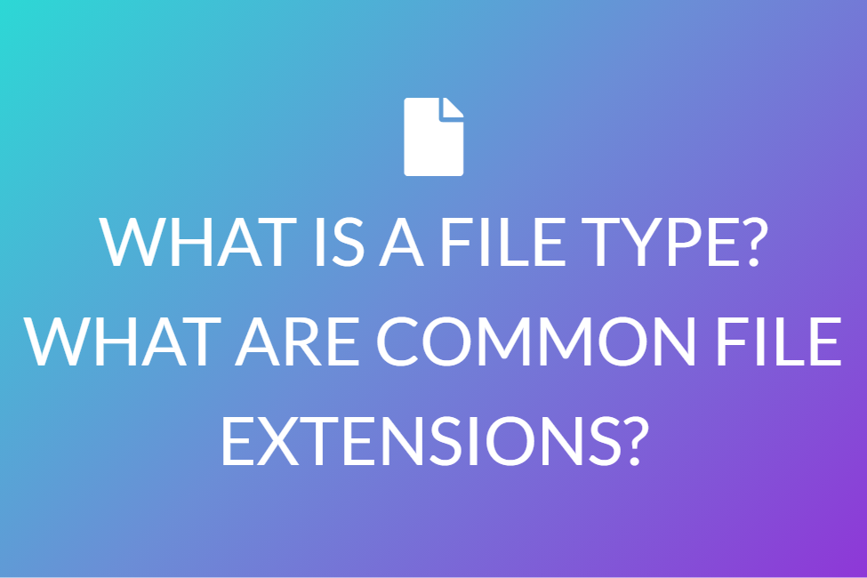 WHAT IS A FILE TYPE? WHAT ARE COMMON FILE EXTENSIONS?