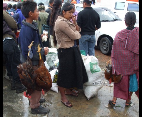Mexico Animal Markets 2