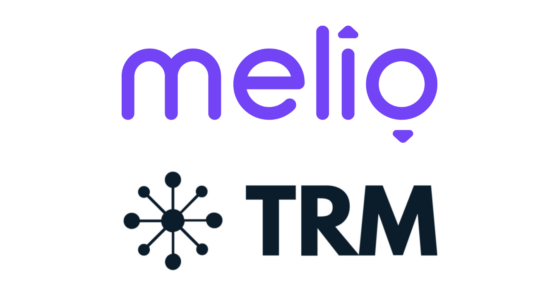 2022 year in review portfolio company highlights section melio trm