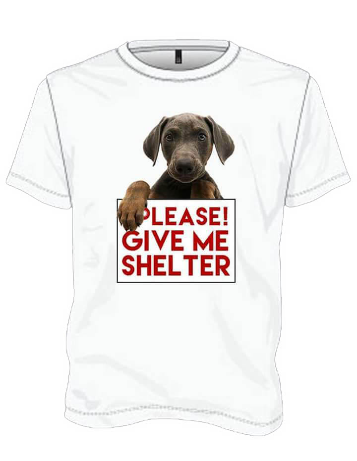 please-give- me-a-shelter-shirt
