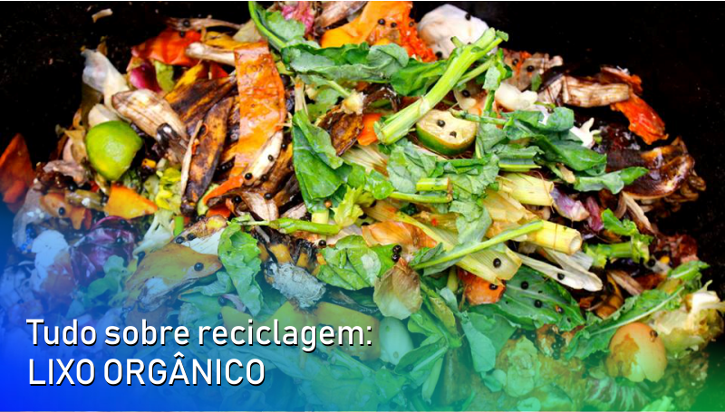 Imagem em destaque para o artigo: Tudo sobre reciclagem: lixo orgânico