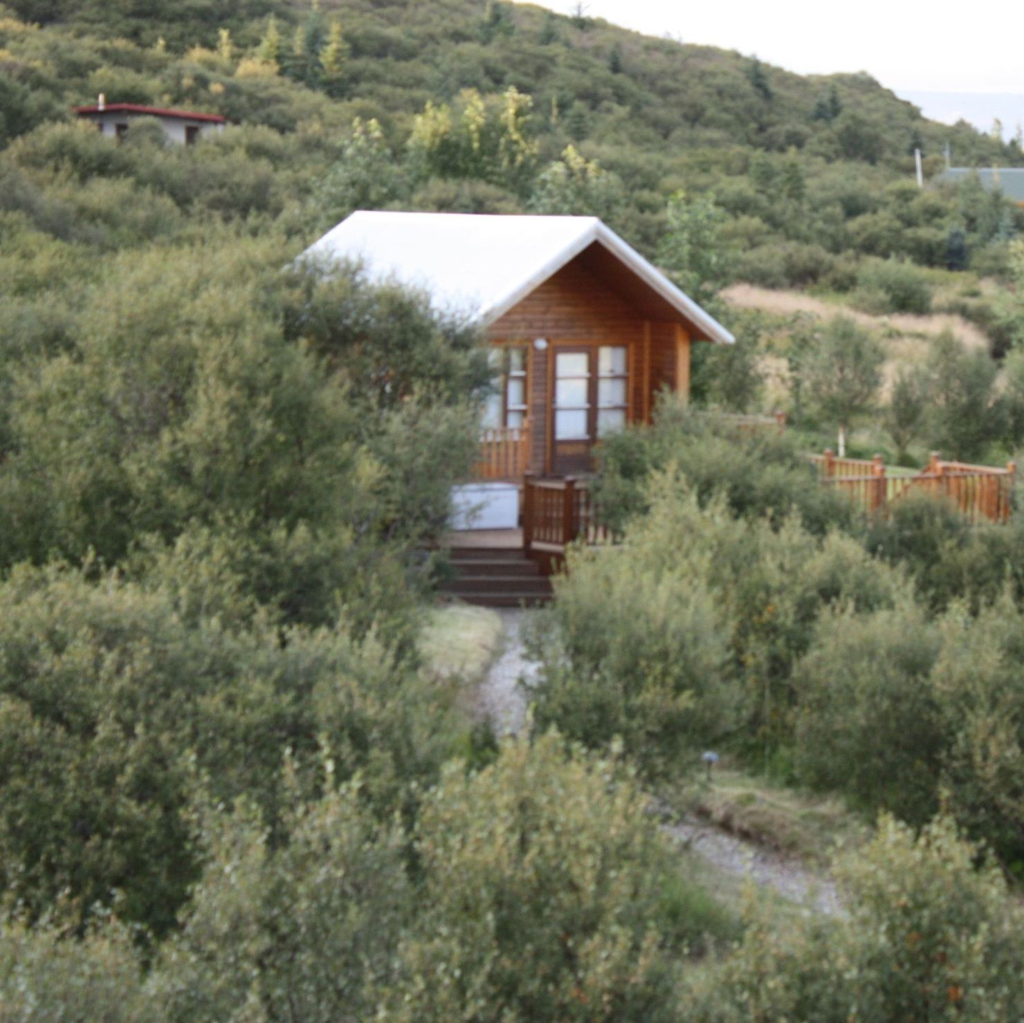 The holiday home is idyllically situated between birch trees and willow bushes