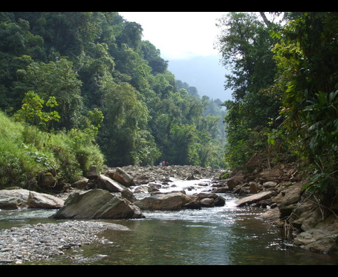 Colombia Lostcity Rivers 14