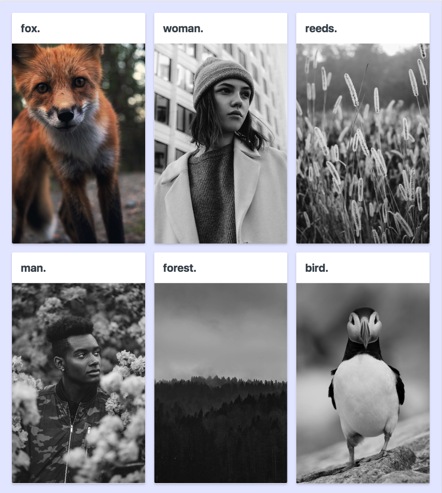 [Get 37+] Css Grid Image Gallery