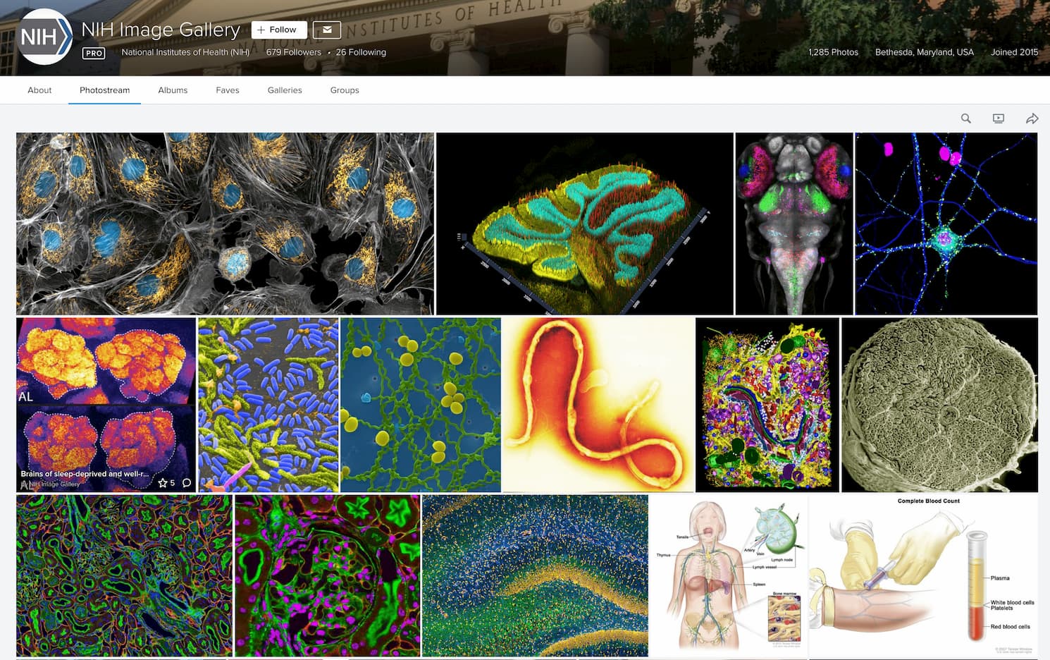 Resources for illustrating biomedical science - Kamil Slowikowski