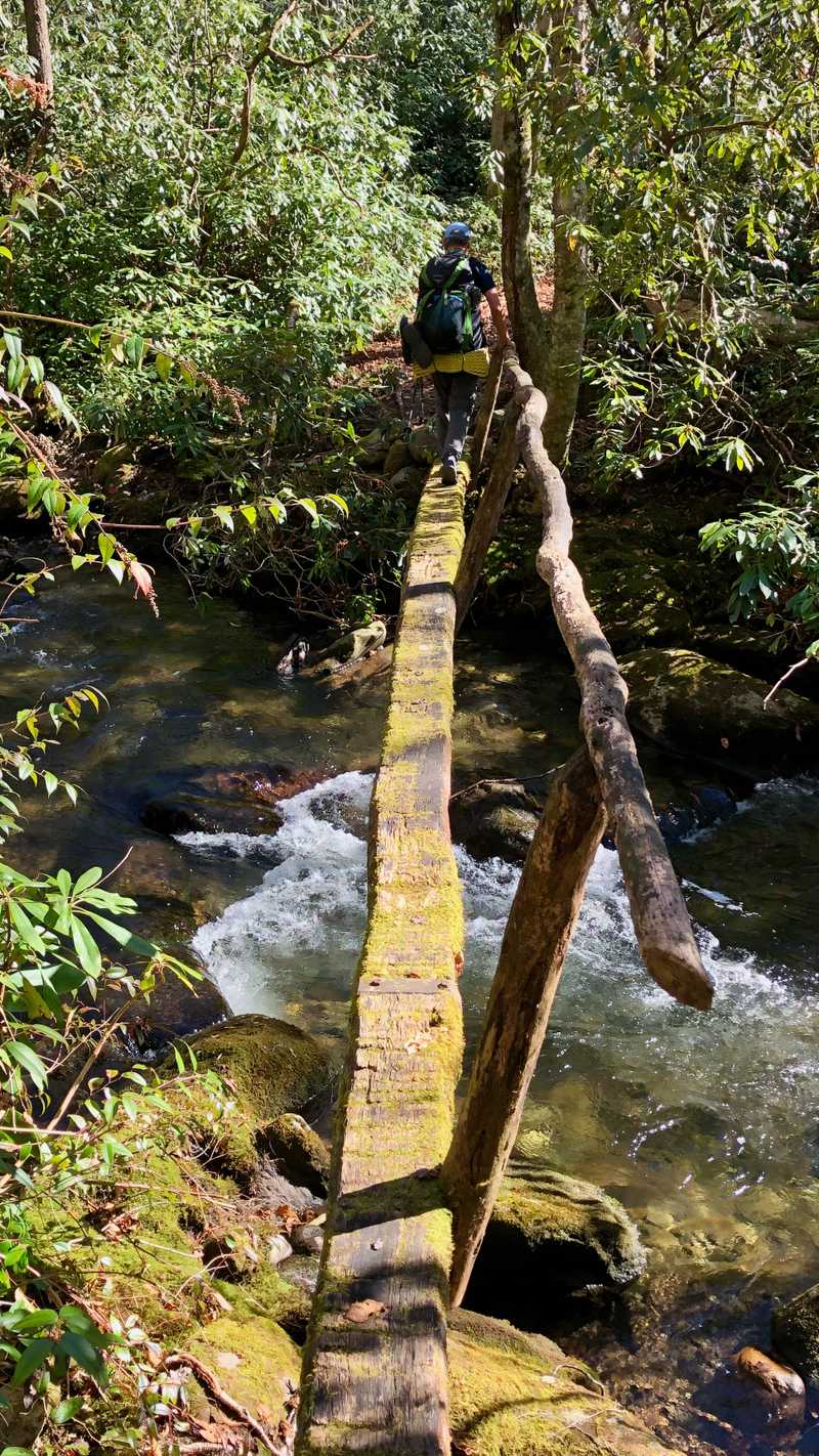 Crossing Noland Creek on a narrow log footbridge