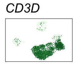 CD3D