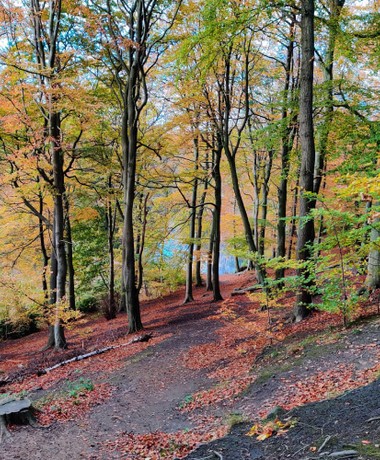 Gledhow Valley Woods path along the hill in Autumn