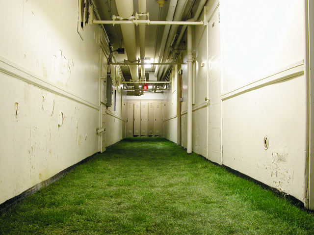 an institutional basement, with peeling paint, whose floor is covered with soft green grass