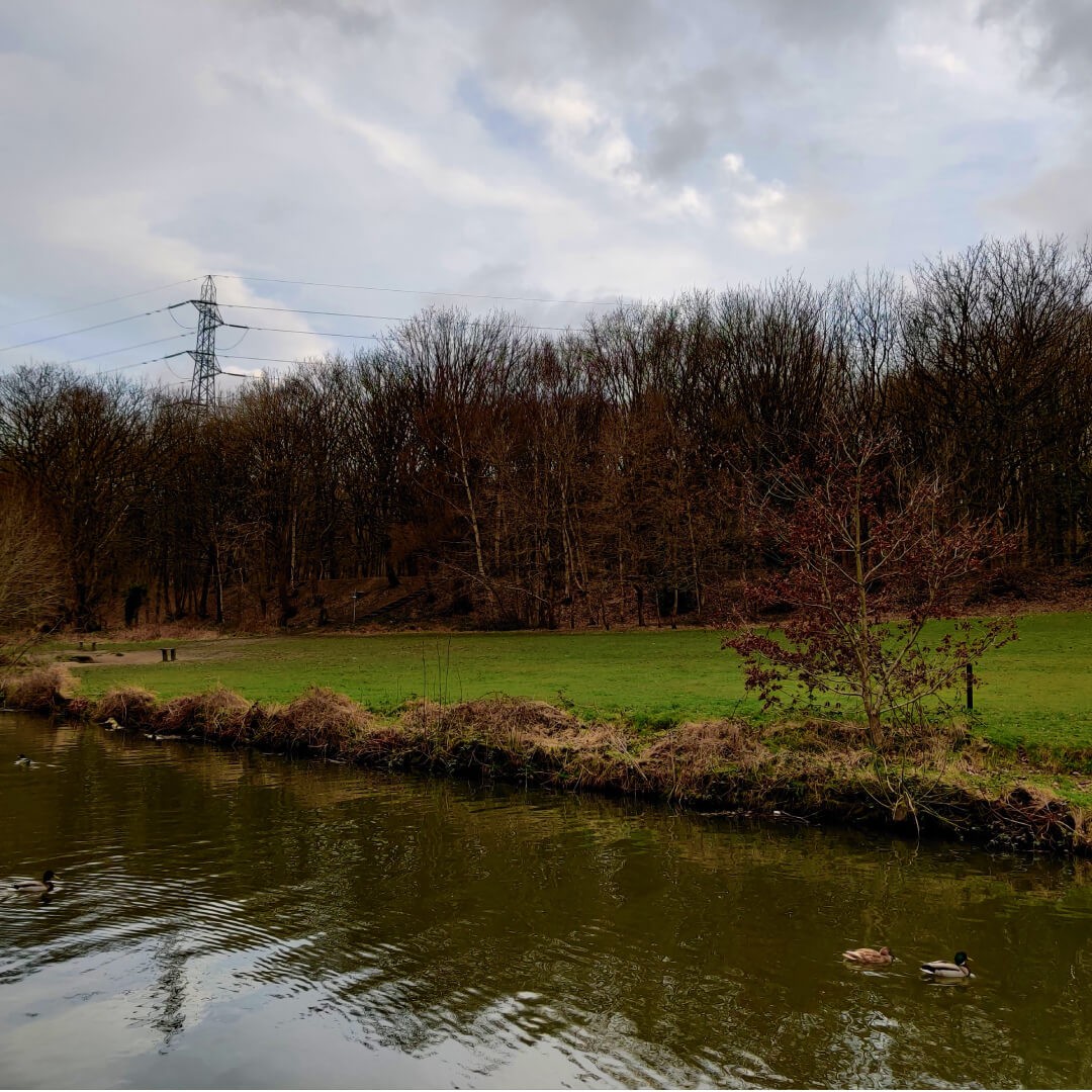 Bramley Fall Park & Woods Discover Leeds