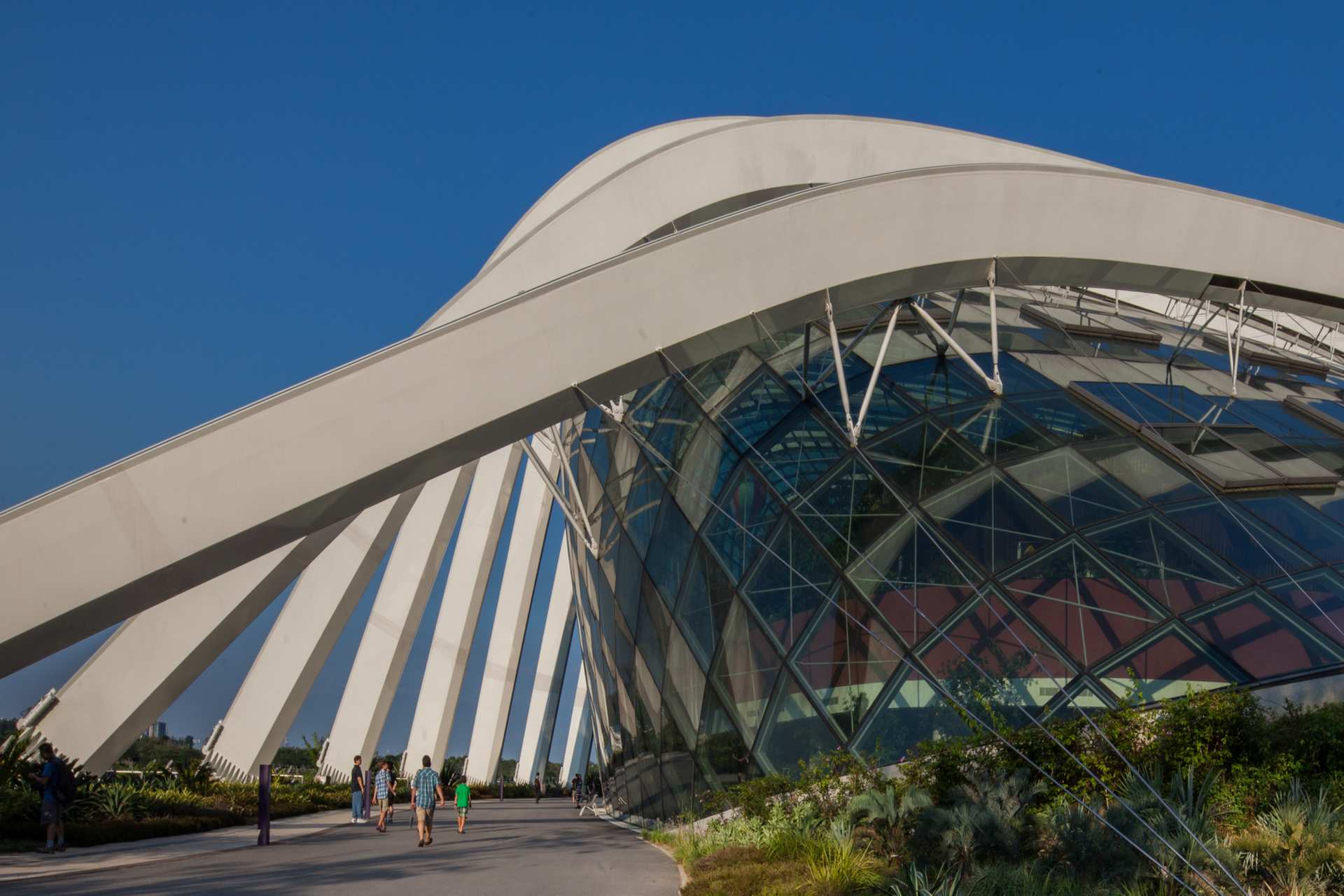 Garden by the bay