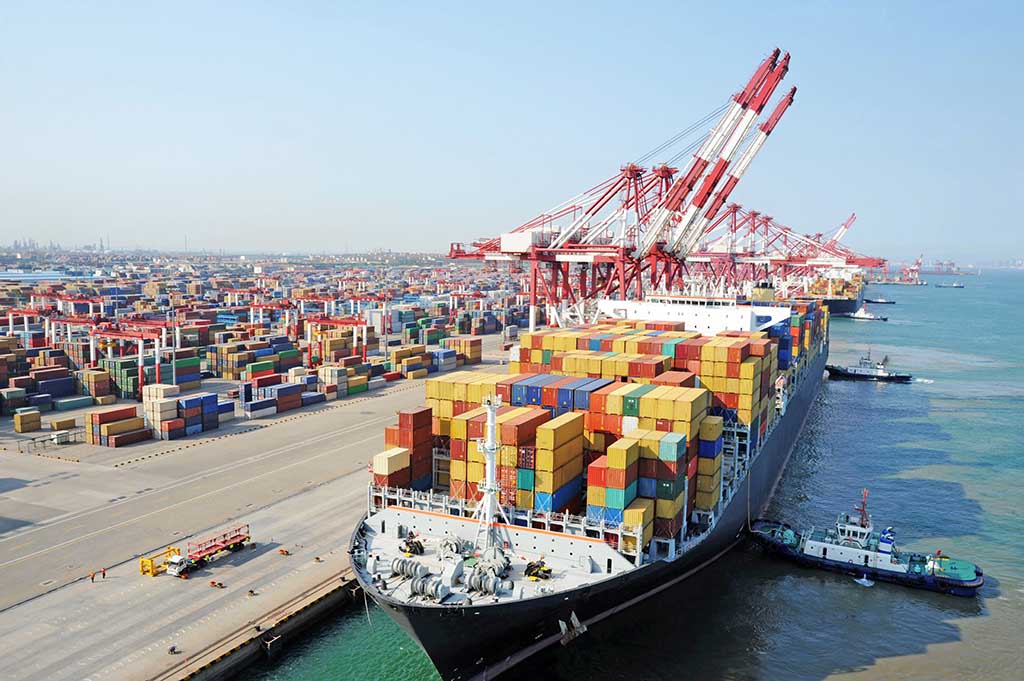 Marine Militants: Bioinvasion propagated through Cargo Ships