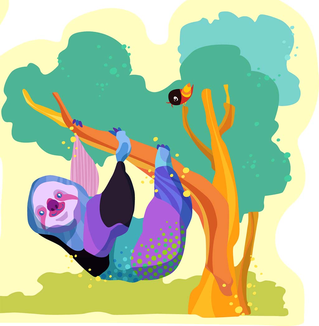 Does a Sloth live its entire life upside down?