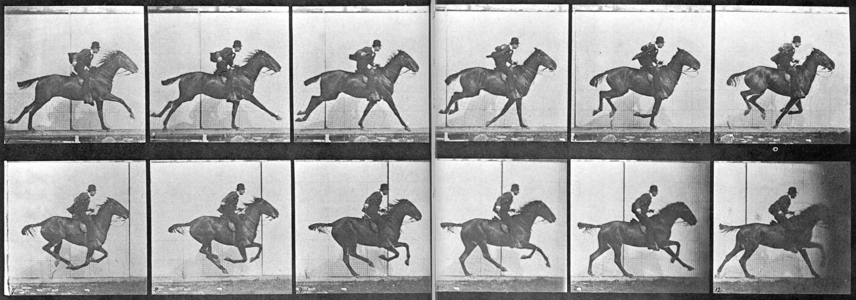 Grid of photographs of a mounted horse galloping