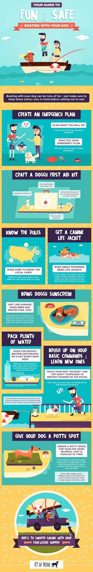 Your Guide to Boating with Your Dog