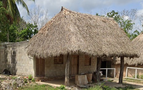 yucatan thatch