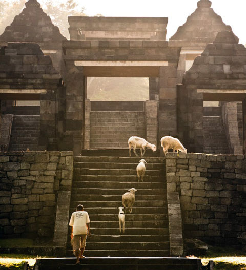 Fumes - Art, Photography, Ideas - 110110 ALEJANDRO PLESCH YOGYA 10
