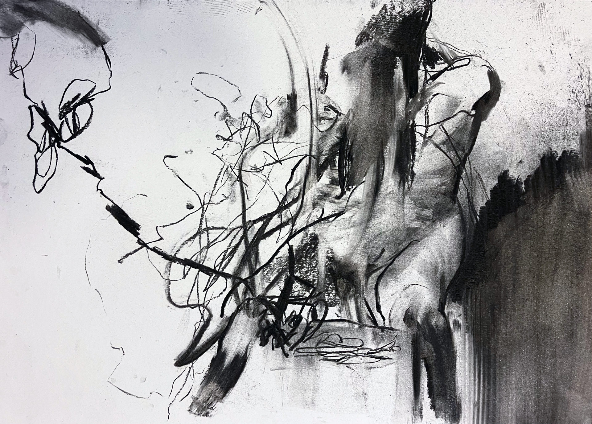Charcoal drawing, anatomy and abstract study
