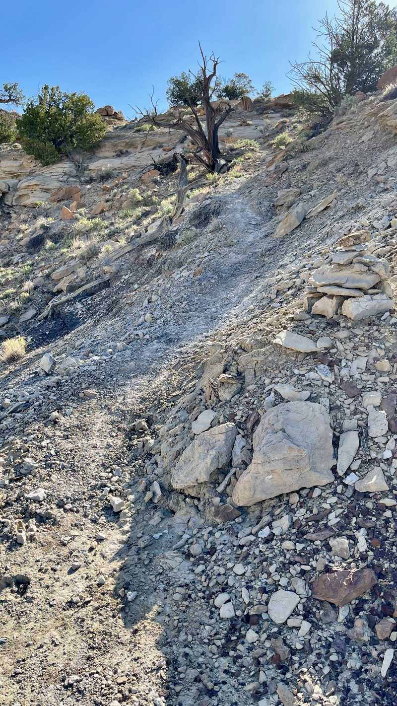 A steep climb on a gravel path