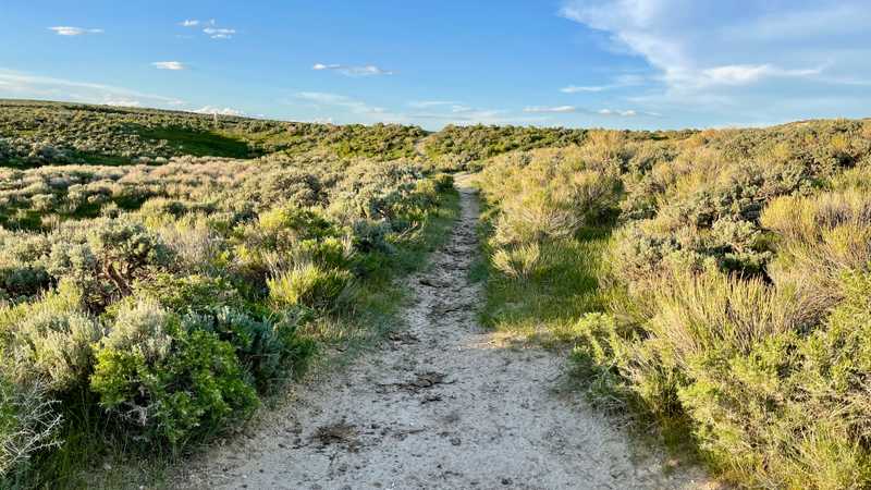 The Continental Divide Trail