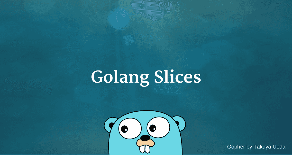 Introduction to Slices in Golang CalliCoder