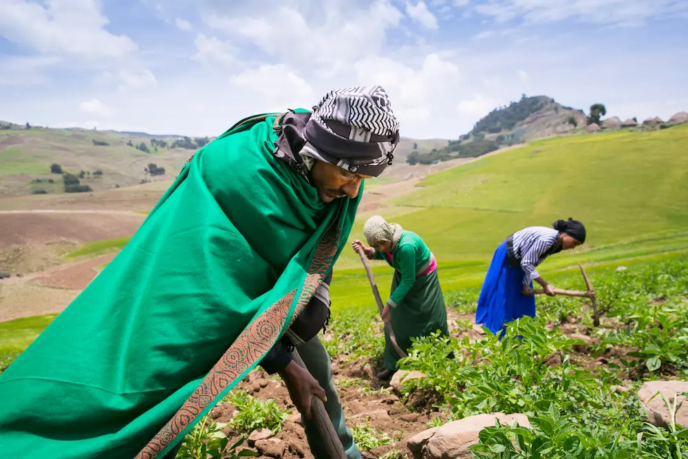 Ali Assen Ali, with two of his daughters, on their farm 12,000 feet up in the highlands of South Wollo, Ethiopia. Ali participated in a Concern-sponsored program which encourages farmers to look at alternative cros