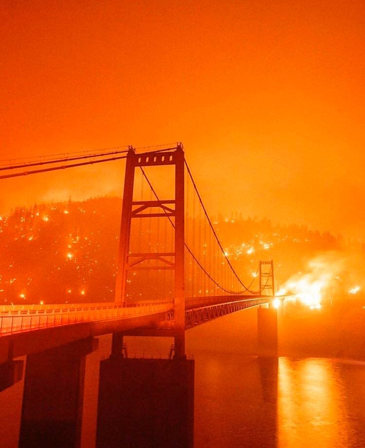 oh my god twitter doesn’t include alt text from images in their API