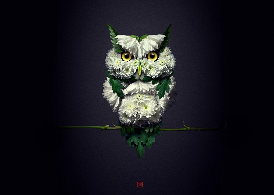 image of an owl made from flowers