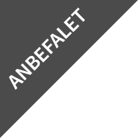 Billy Regnskabsprogram og anbefalingsbanner