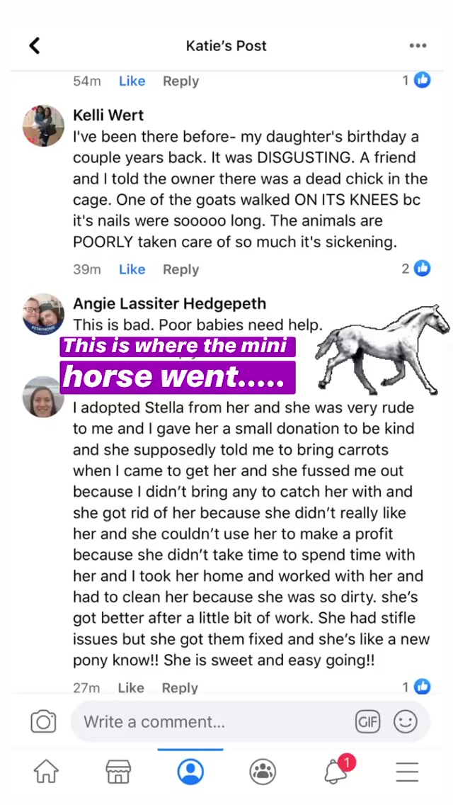 Winterpast Evidence Elvis Story
