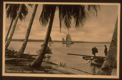 A sepia photo of the Punggol seashore in the 1890s. A row of four palm trees line the shore on the left side of the image. Two Chinese junks are seen in the distance on calm sea waters.
