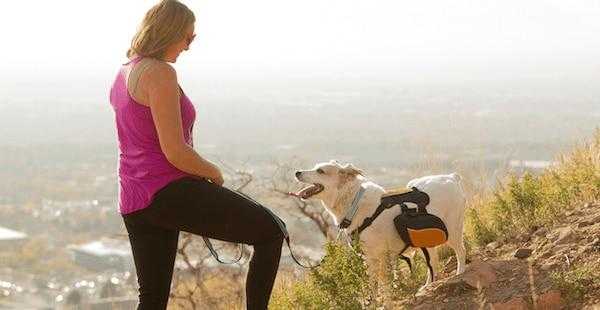 Finding the Perfect Hike for You and Your Dog - Kurgo Dog Products