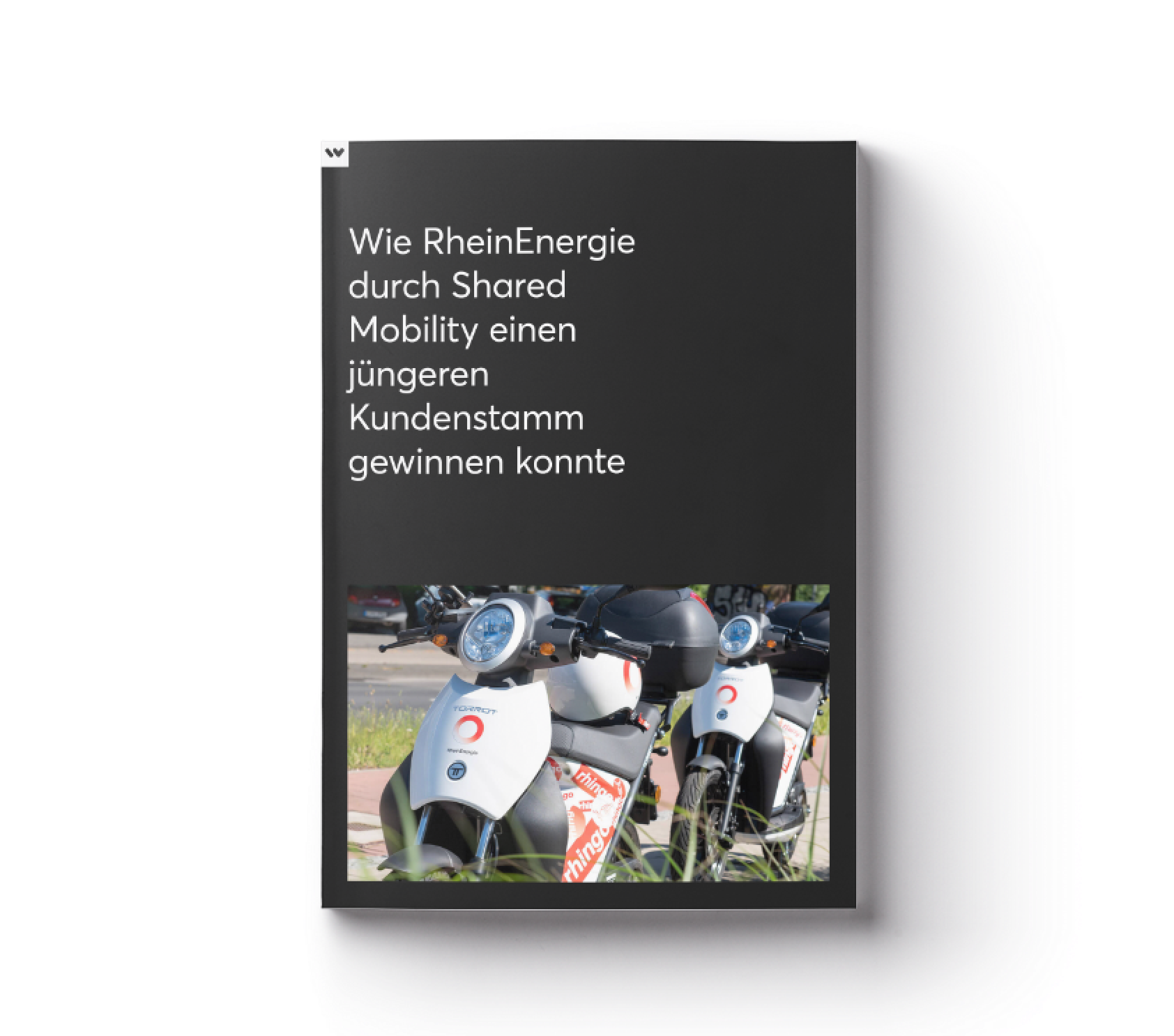 Preview of the case study on rhingo.