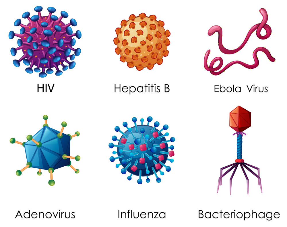 Six different viruses.