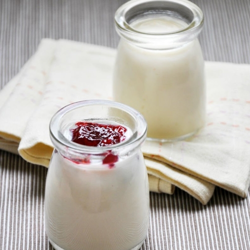 home-made-non-dairy-yogurt-1