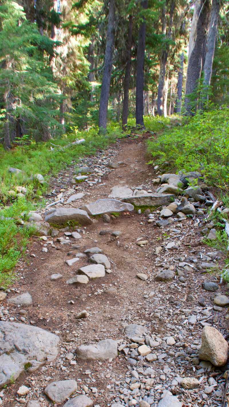 A rocky section of climbing trail