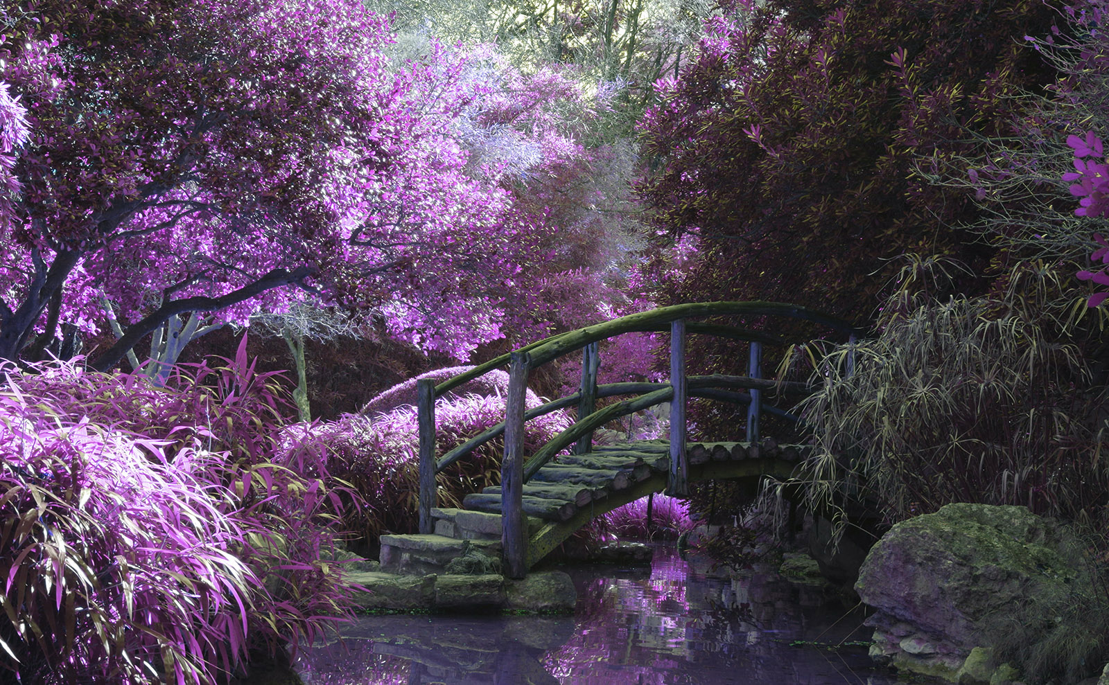 Let's Take a Virtual Walk in Colorful Garden Displays Around the World