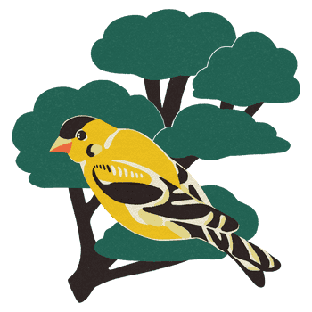 BESIDE_BIRDS_2021_goldfinch.png