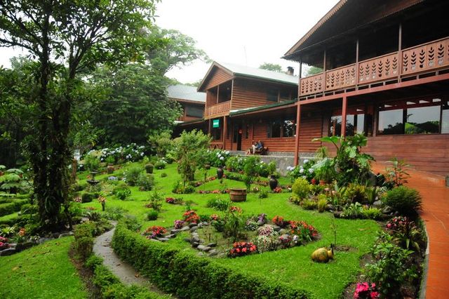 Hummingbird Garden Monteverde Costa Rica