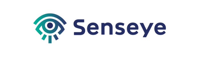 The Future of Computer Vision with AI Pioneer Senseye