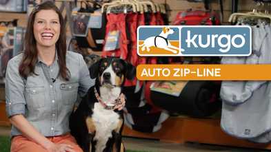 How to Use the Kurgo Auto Zip Line (VIDEO)