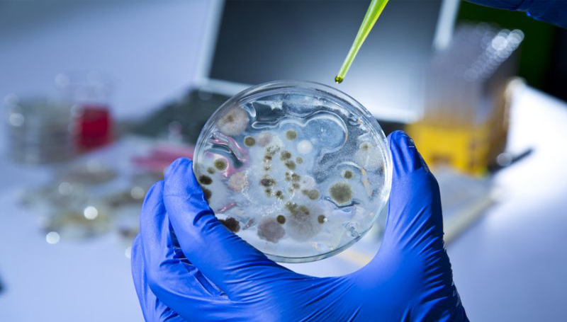 Imagem em destaque para o artigo: Cientistas criam acidentalmente enzima "devoradora de plástico"