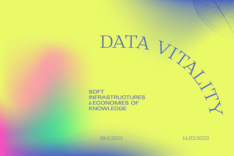Data Vitality: Soft Infrastructures and Economies of Knowledge