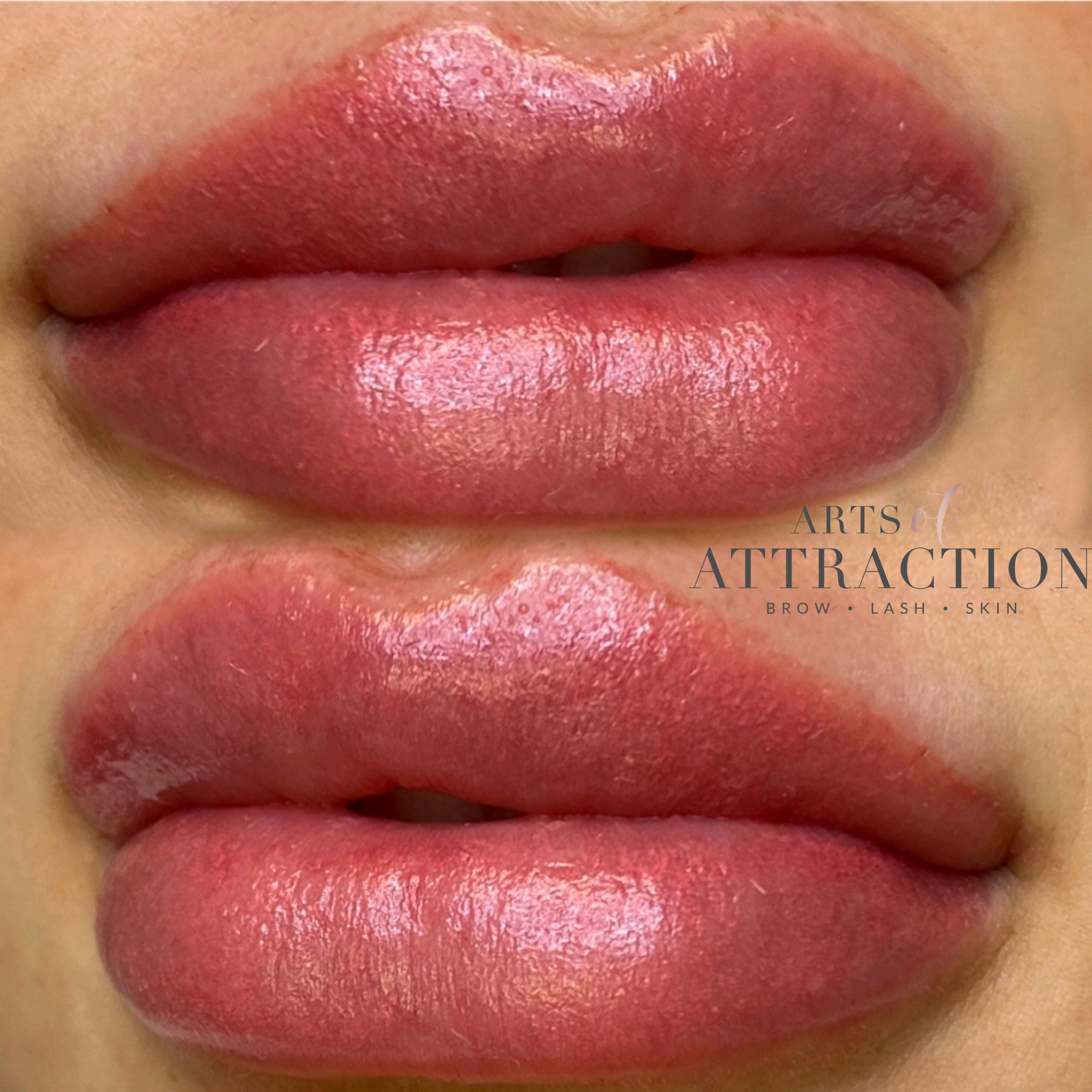 Lip Blushing Training