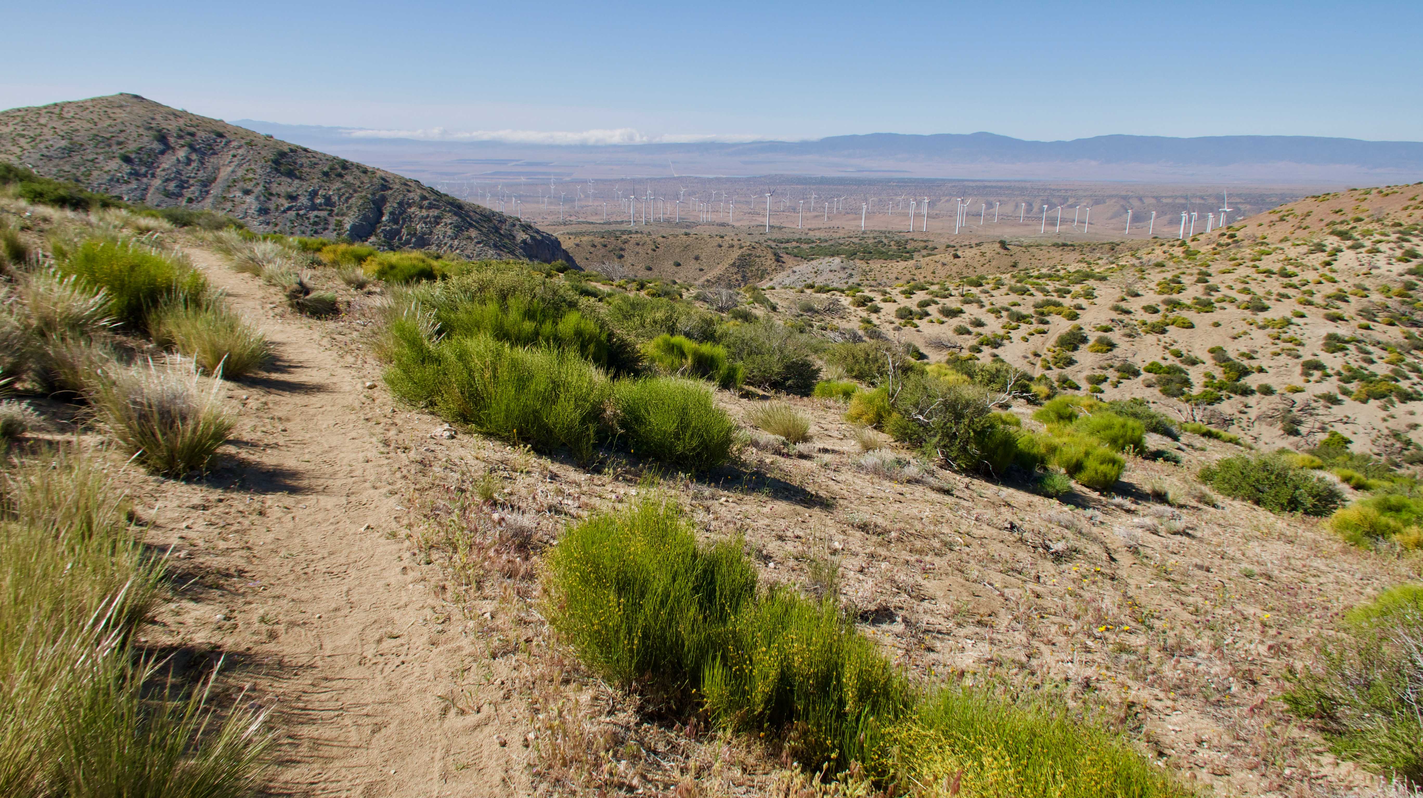 Tehachapi Weather - 6bxz4z9