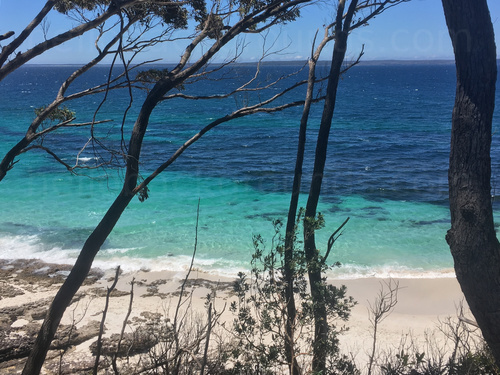 Tropical white sand beach with trees in foreground Microsoft Teams background